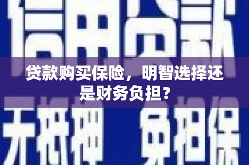 小金贷款购买保险，明智选择还是财务负担？