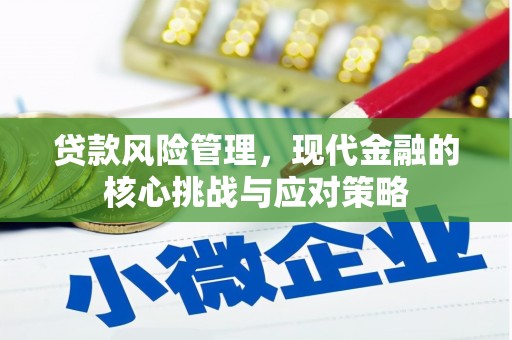 小金贷款风险管理，现代金融的核心挑战与应对策略