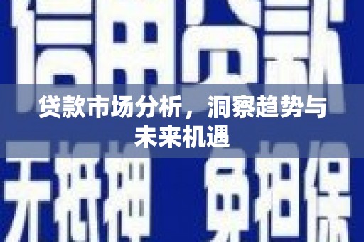 小金贷款市场分析，洞察趋势与未来机遇