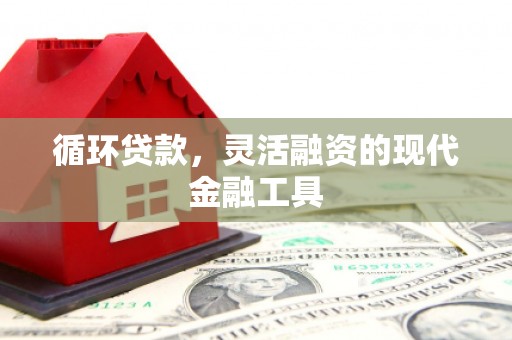 小金循环贷款，灵活融资的现代金融工具