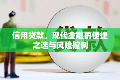 小金信用贷款，现代金融的便捷之选与风险控制