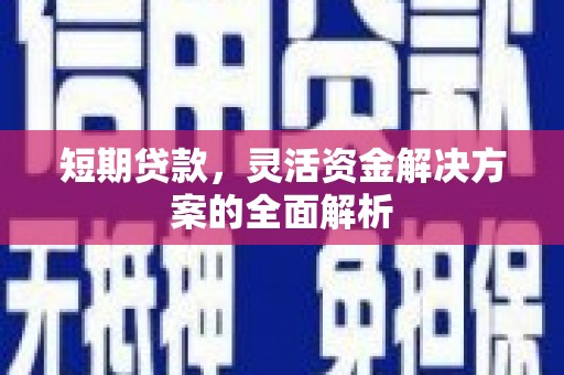 小金短期贷款，灵活资金解决方案的全面解析
