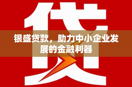 小金银盛贷款，助力中小企业发展的金融利器