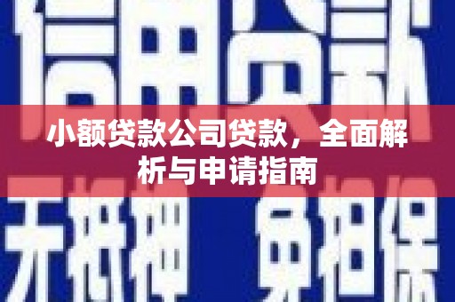 小金小额贷款公司贷款，全面解析与申请指南