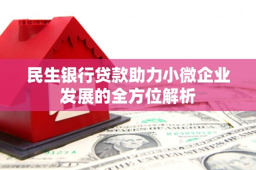 小金民生银行贷款助力小微企业发展的全方位解析