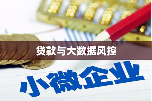 小金贷款与大数据风控