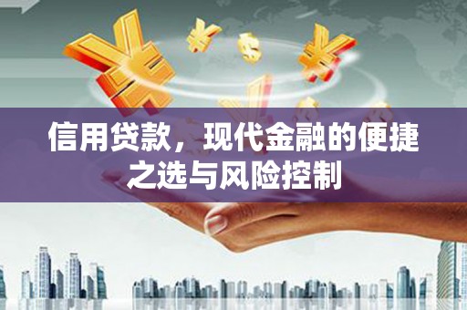 小金信用贷款，现代金融的便捷之选与风险控制