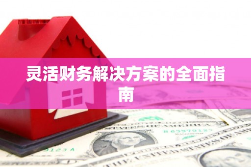 小金灵活财务解决方案的全面指南