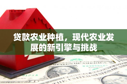 小金贷款农业种植，现代农业发展的新引擎与挑战