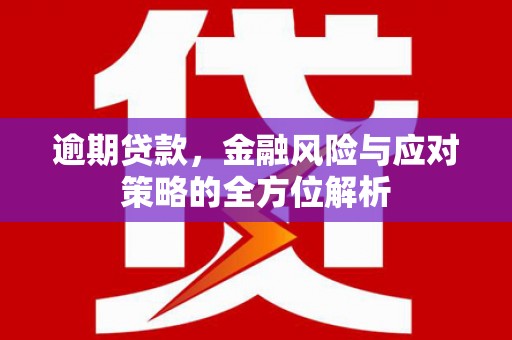 小金逾期贷款，金融风险与应对策略的全方位解析
