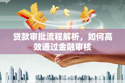 小金贷款审批流程解析，如何高效通过金融审核