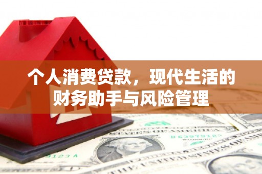 小金个人消费贷款，现代生活的财务助手与风险管理