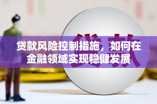 小金贷款风险控制措施，如何在金融领域实现稳健发展