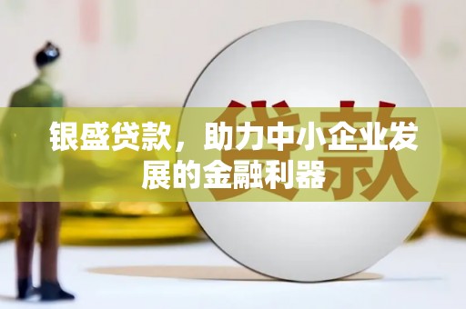 小金银盛贷款，助力中小企业发展的金融利器