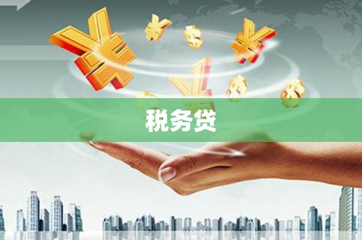 小金税务贷
