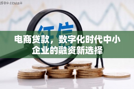 小金电商贷款，数字化时代中小企业的融资新选择