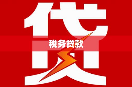小金税务贷款