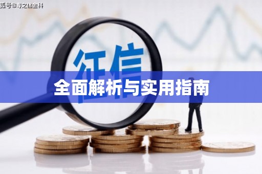 小金全面解析与实用指南