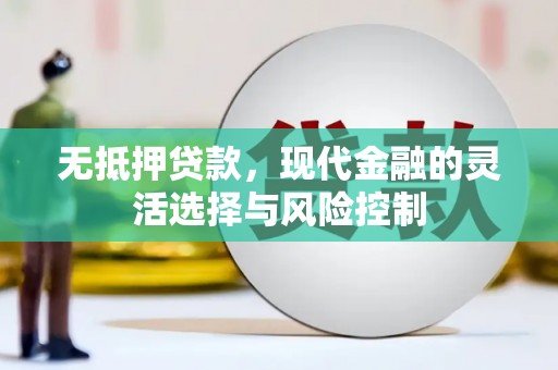 小金无抵押贷款，现代金融的灵活选择与风险控制