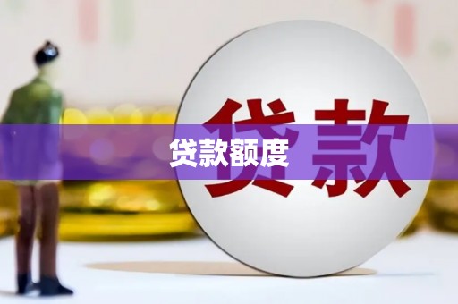 小金贷款额度