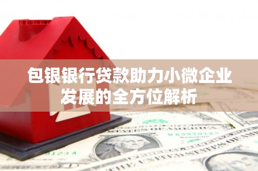 小金包银银行贷款助力小微企业发展的全方位解析