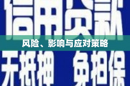 小金风险、影响与应对策略