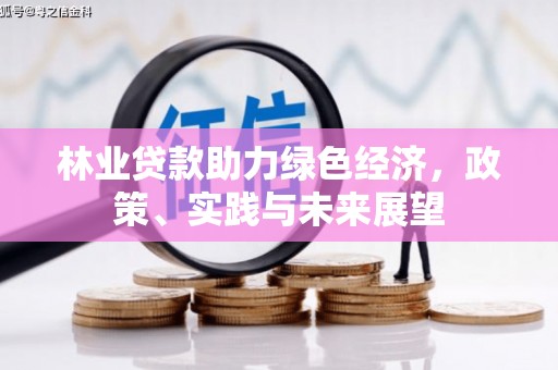 小金林业贷款助力绿色经济，政策、实践与未来展望