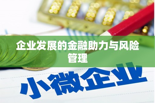 小金企业发展的金融助力与风险管理