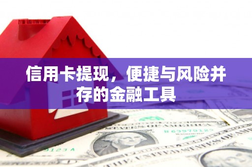 小金信用卡提现，便捷与风险并存的金融工具