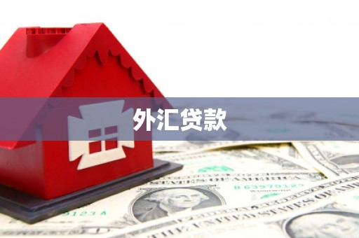 小金外汇贷款