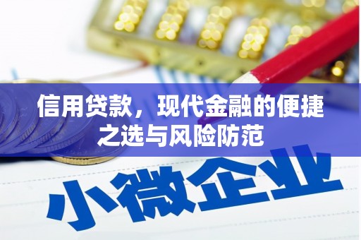 小金信用贷款，现代金融的便捷之选与风险防范