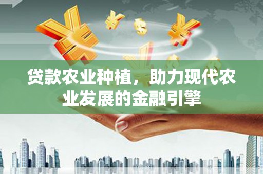 小金贷款农业种植，助力现代农业发展的金融引擎