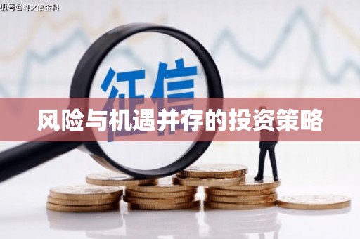 小金风险与机遇并存的投资策略