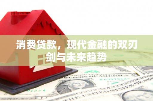 小金消费贷款，现代金融的双刃剑与未来趋势