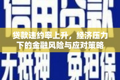 小金贷款违约率上升，经济压力下的金融风险与应对策略