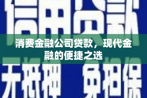 小金消费金融公司贷款，现代金融的便捷之选