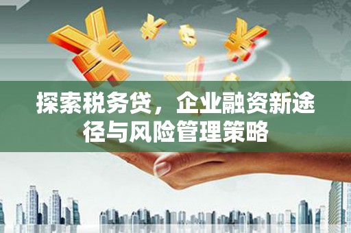 小金探索税务贷，企业融资新途径与风险管理策略