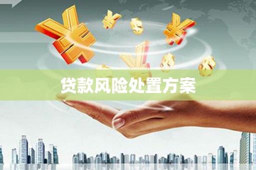 小金贷款风险处置方案