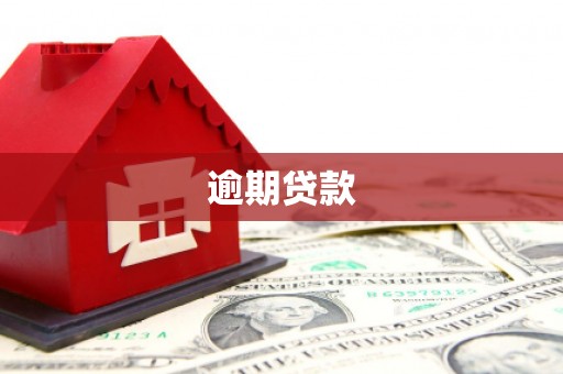 小金逾期贷款