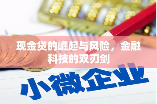 小金现金贷的崛起与风险，金融科技的双刃剑