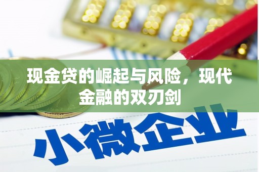 小金现金贷的崛起与风险，现代金融的双刃剑