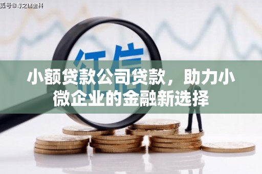 小金小额贷款公司贷款，助力小微企业的金融新选择