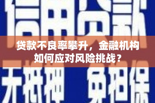 小金贷款不良率攀升，金融机构如何应对风险挑战？