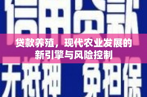 小金贷款养殖，现代农业发展的新引擎与风险控制