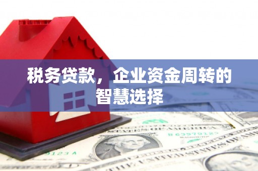 小金税务贷款，企业资金周转的智慧选择