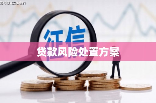 小金贷款风险处置方案