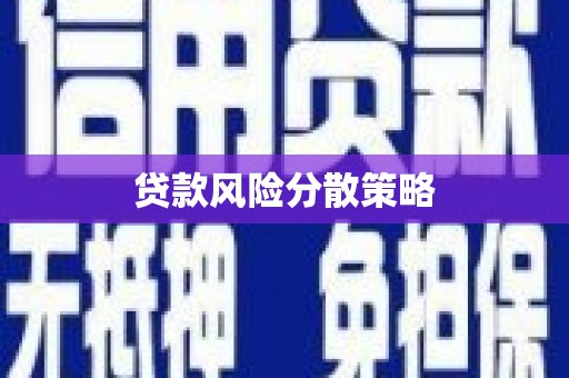 小金贷款风险分散策略