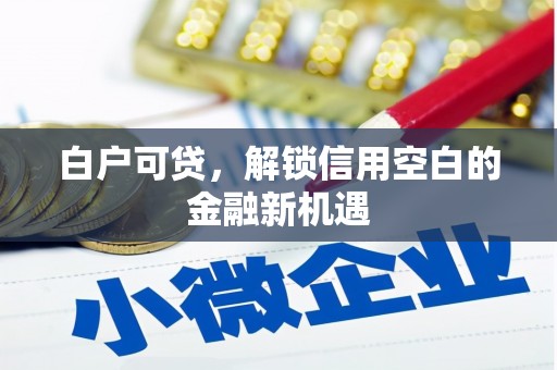 小金白户可贷，解锁信用空白的金融新机遇