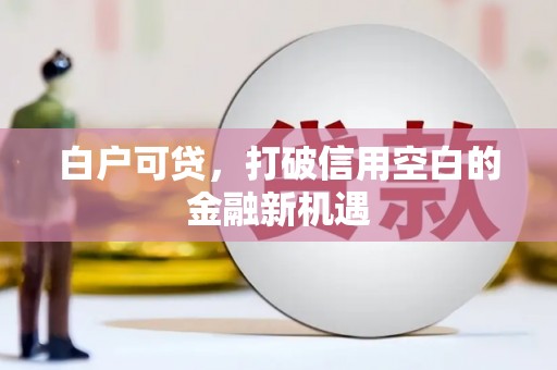 小金白户可贷，打破信用空白的金融新机遇