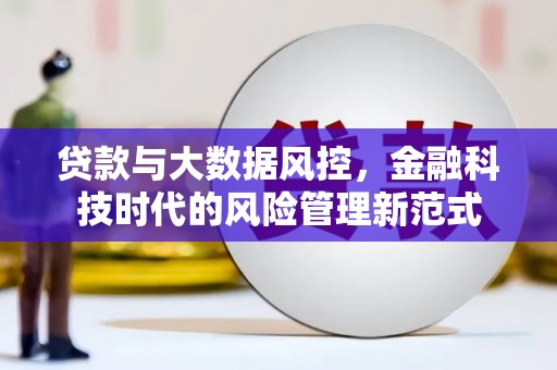 小金贷款与大数据风控，金融科技时代的风险管理新范式